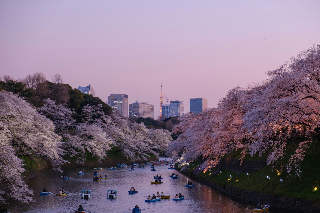 How much does FedEx charge to ship from Canada to Japan?