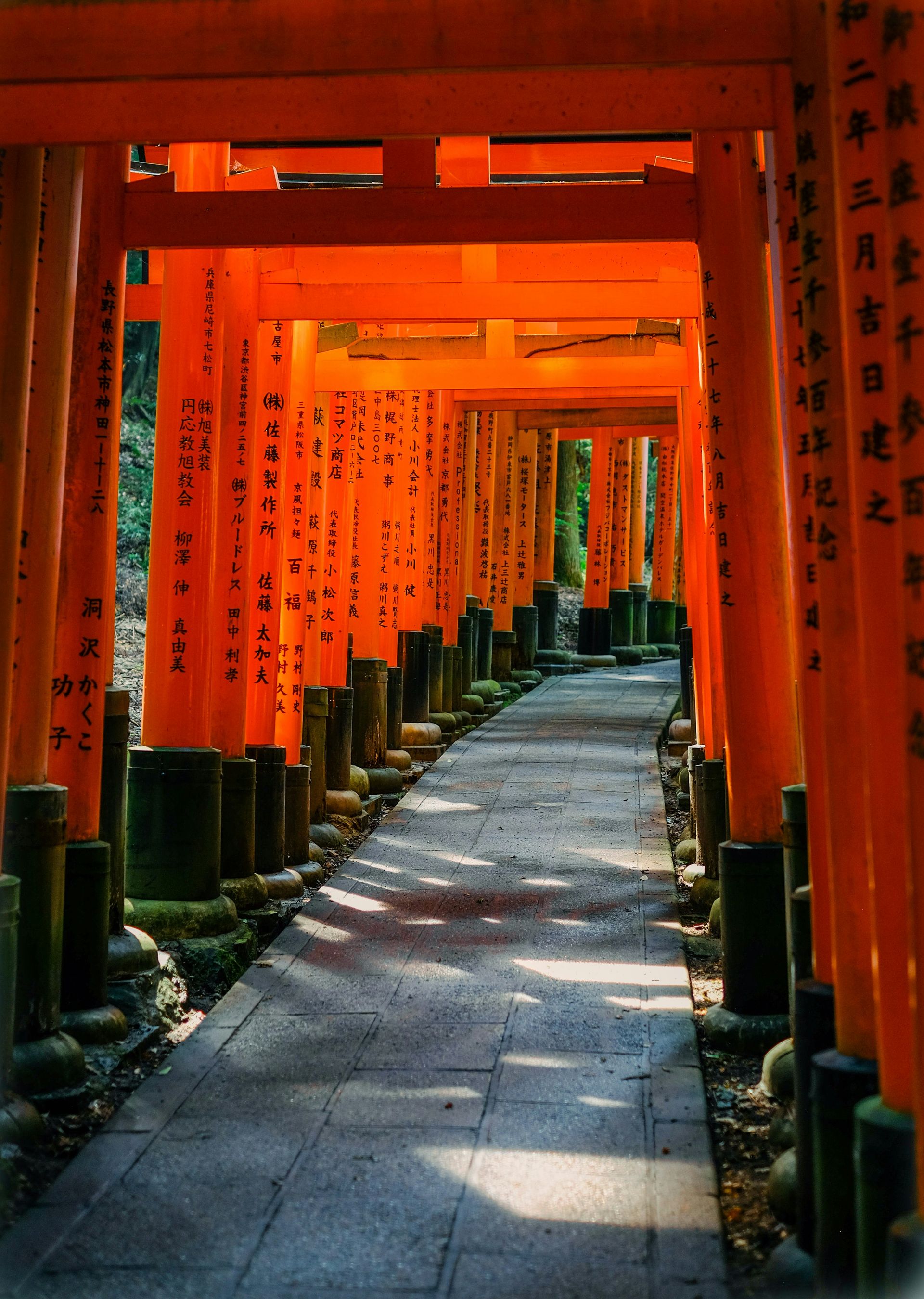 How much is shipping to Japan from Canada? How much is shipping to Japan from Canada?