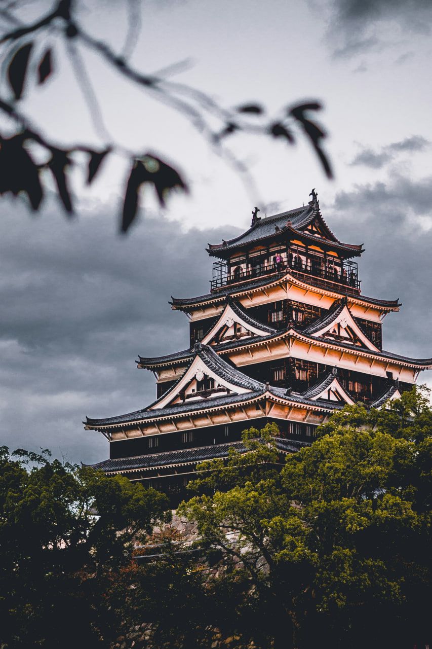 Which is the cheapest courier from Canada to Japan?