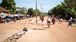 Guinea