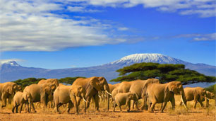 Shipping guide to sending parcels to Tanzania at discounted prices
