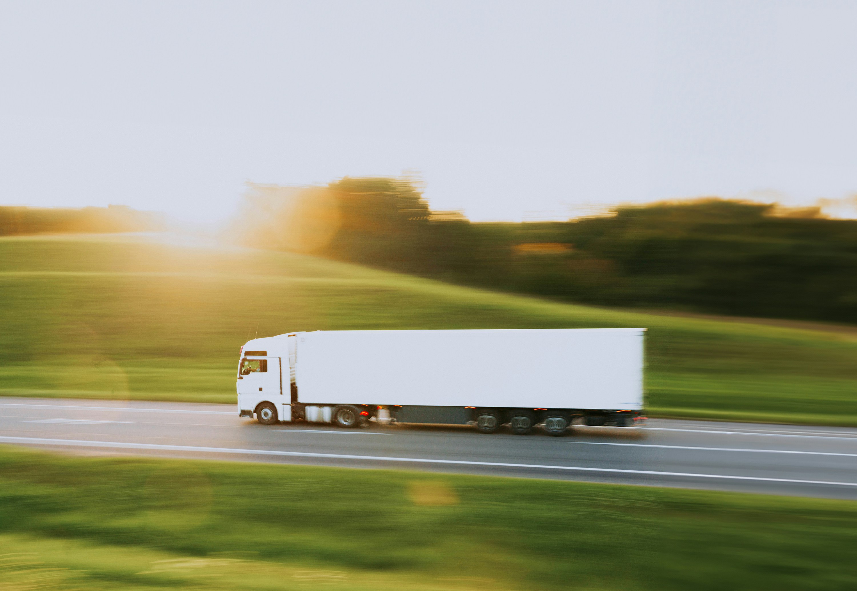 Purolator vs FedEx shipping